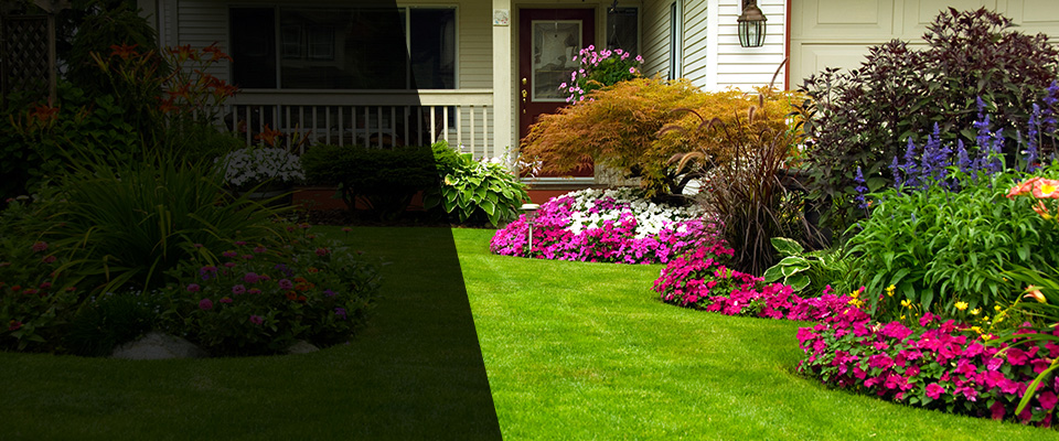 Willington Landscapers