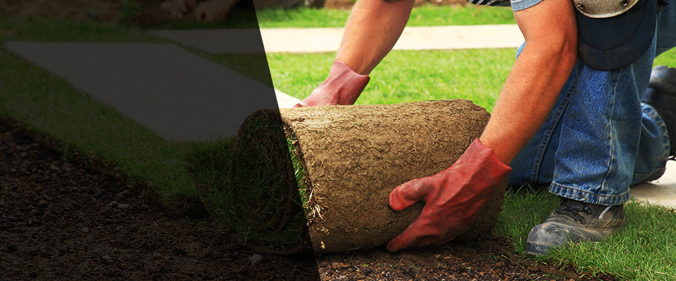 Willington Landscapers